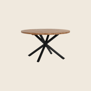 Schöner Wohnen SABA Tisch Holz rund 130cm